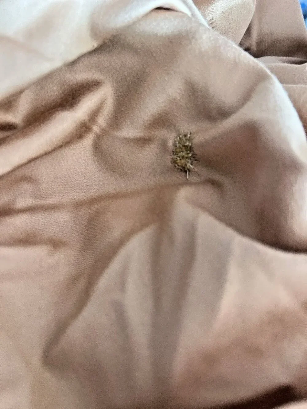 KING Fitted Sheet 100% Cotton Gold Deep Pocket Shavel Home Luxury Bedding